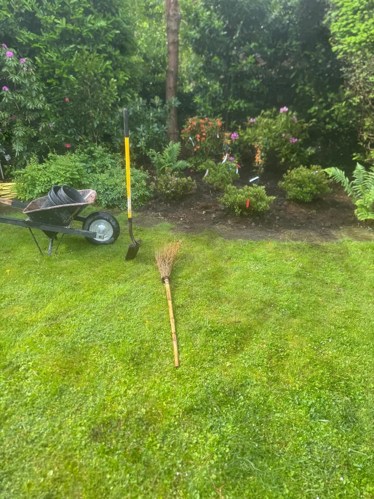 Regelmässige Gartenpflege