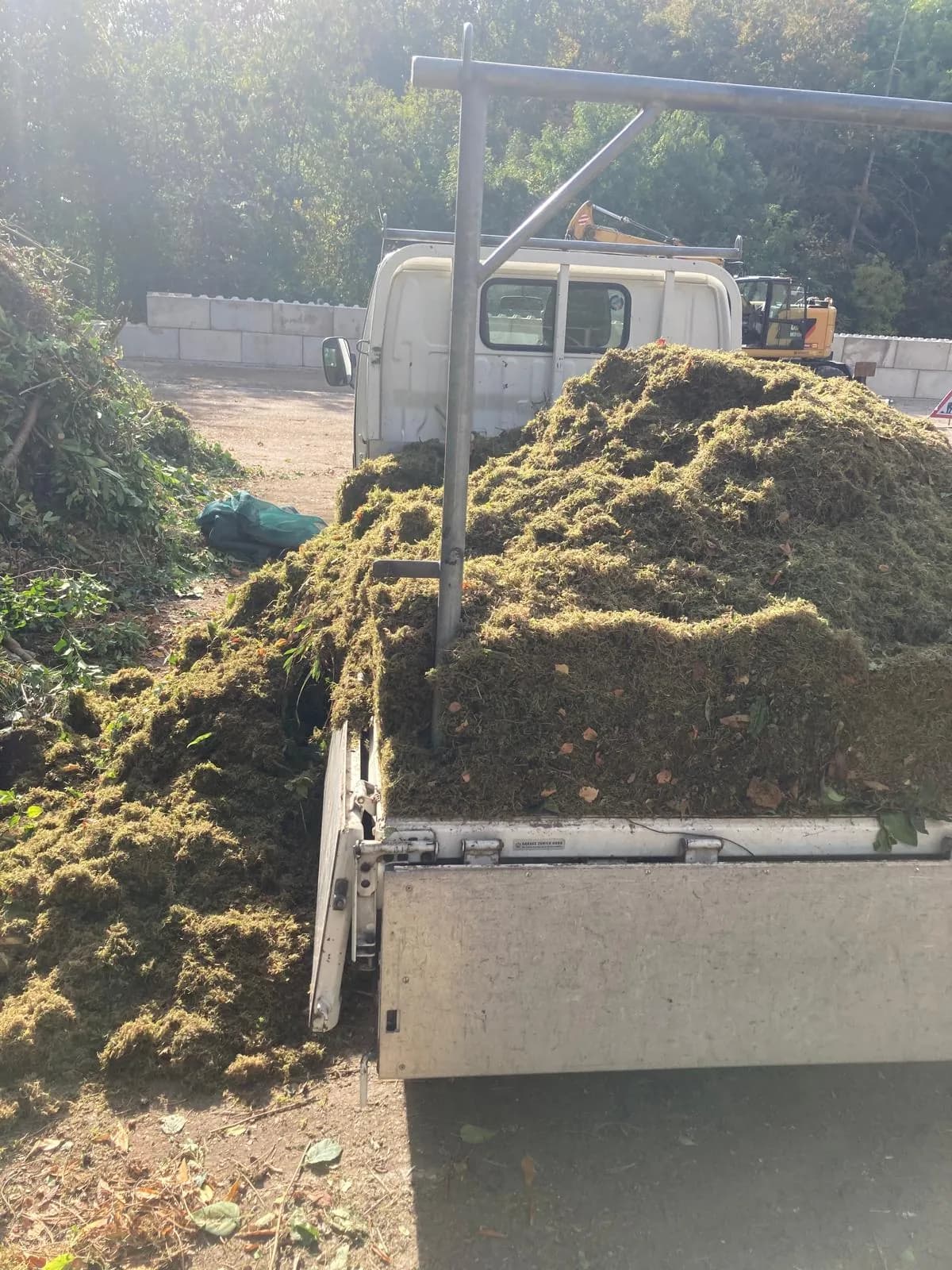 Regelmässige Gartenpflege - Bild 4