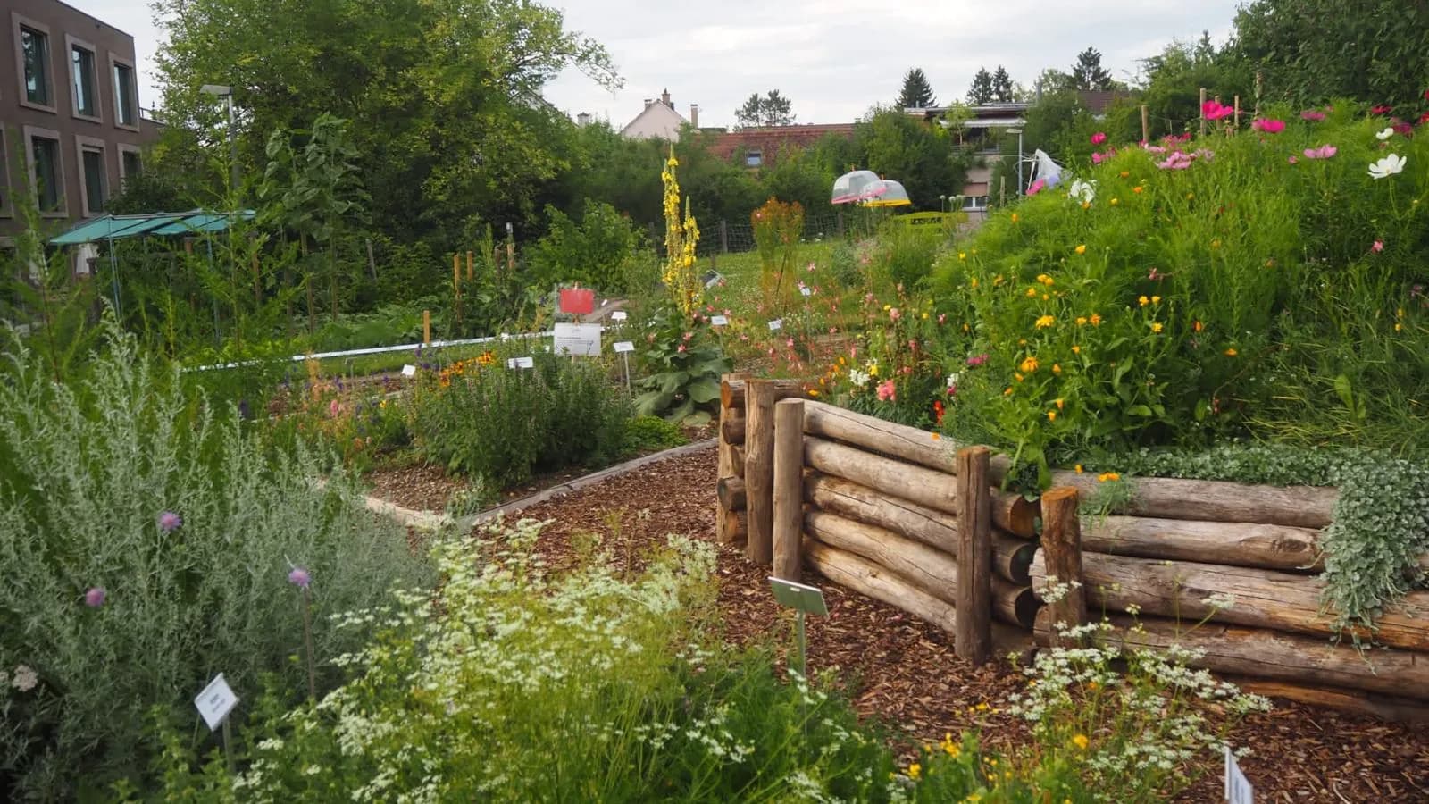 Schaugarten Permakultur - Bild 2