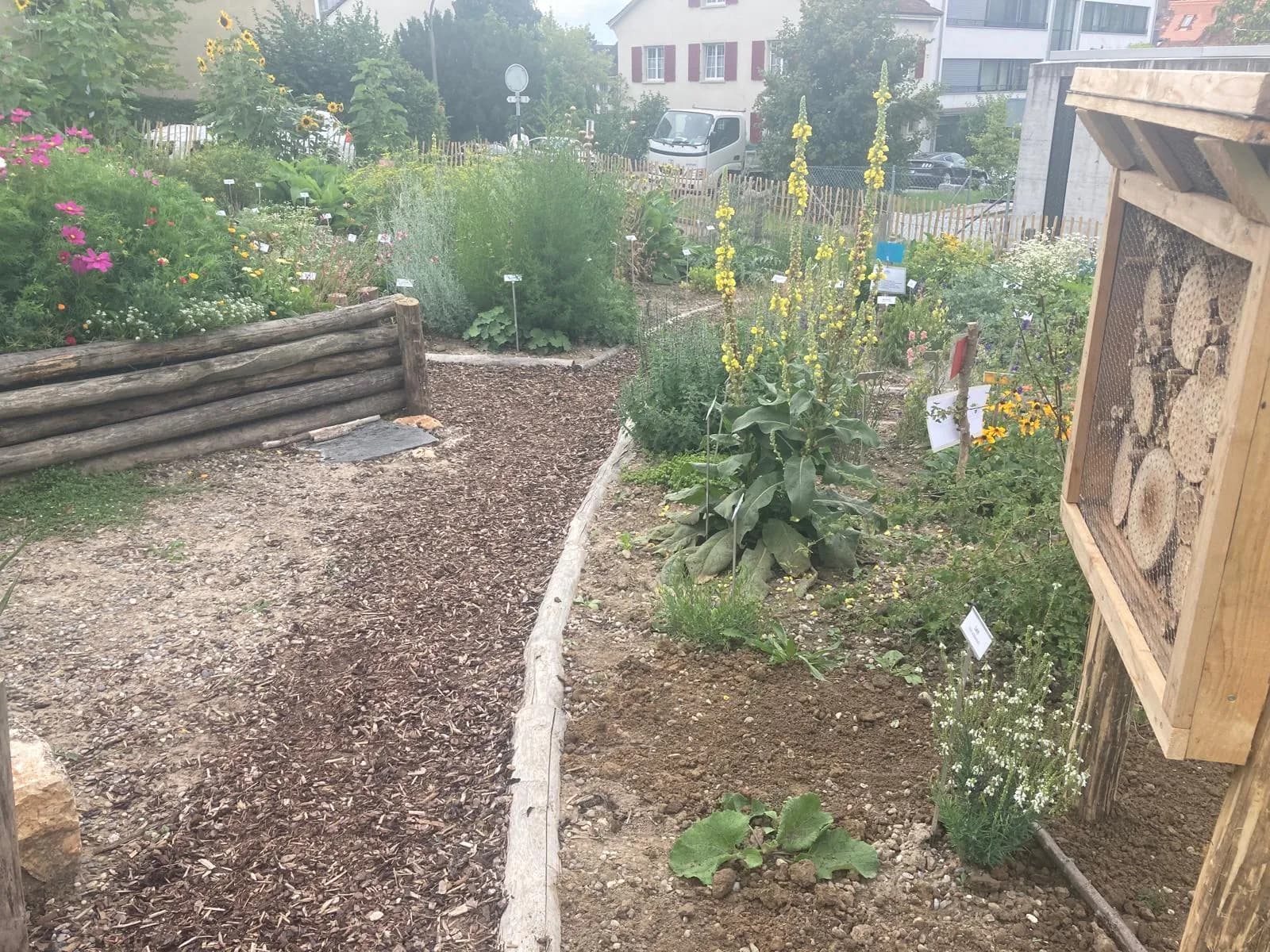 Schaugarten Permakultur - Bild 3