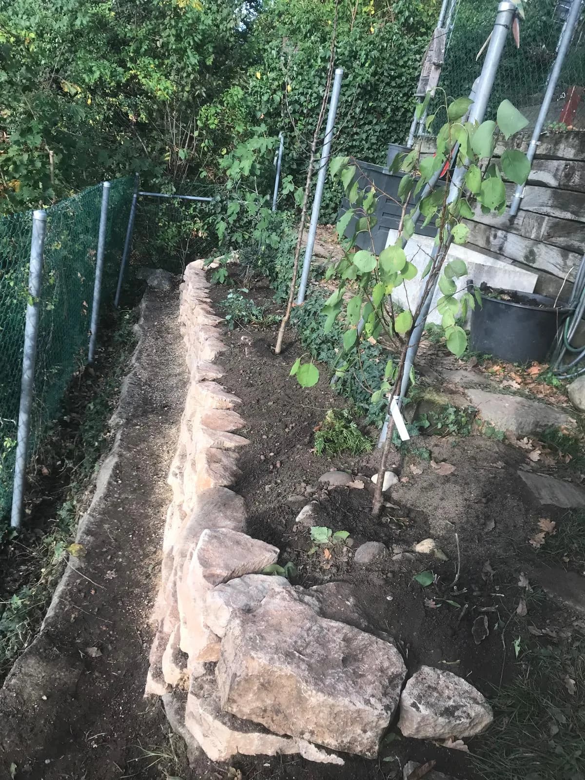 Trockenmauer & Hochbeet - Bild 4